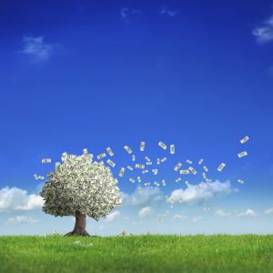 iStocklgmoneytree